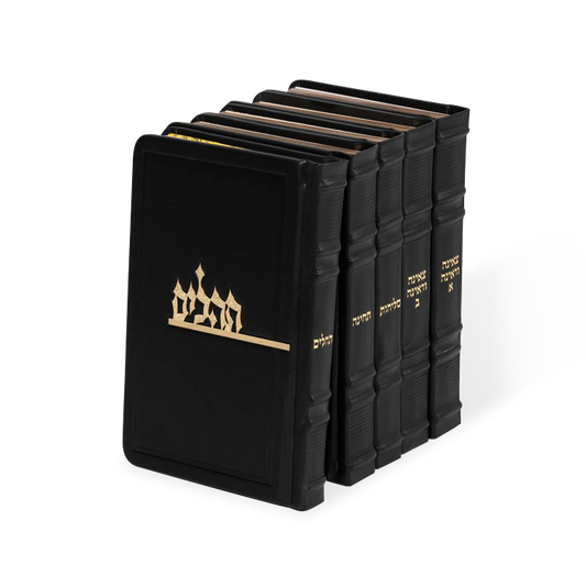 צאינה וראינה מאירות ה"כ Exquisie Leather - Black [23]