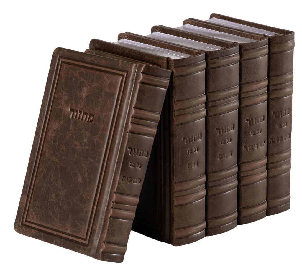 סט מחזור כל בו המבואר גדול Antique Premium Walnut [61]