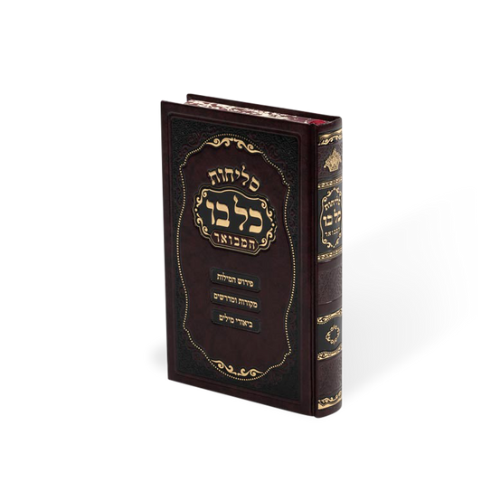 סליחות עם פירוש כל בו גדול