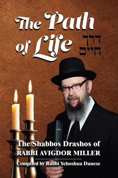 The Path of Life - דרך חיים
