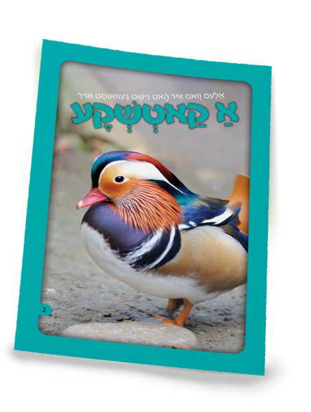 אלעס וואס איר האט נישט געוואוסט אויף - א קאטשקע S/C