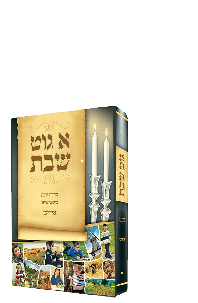 א גוט שבת - הלכות שבת מיט בילדער