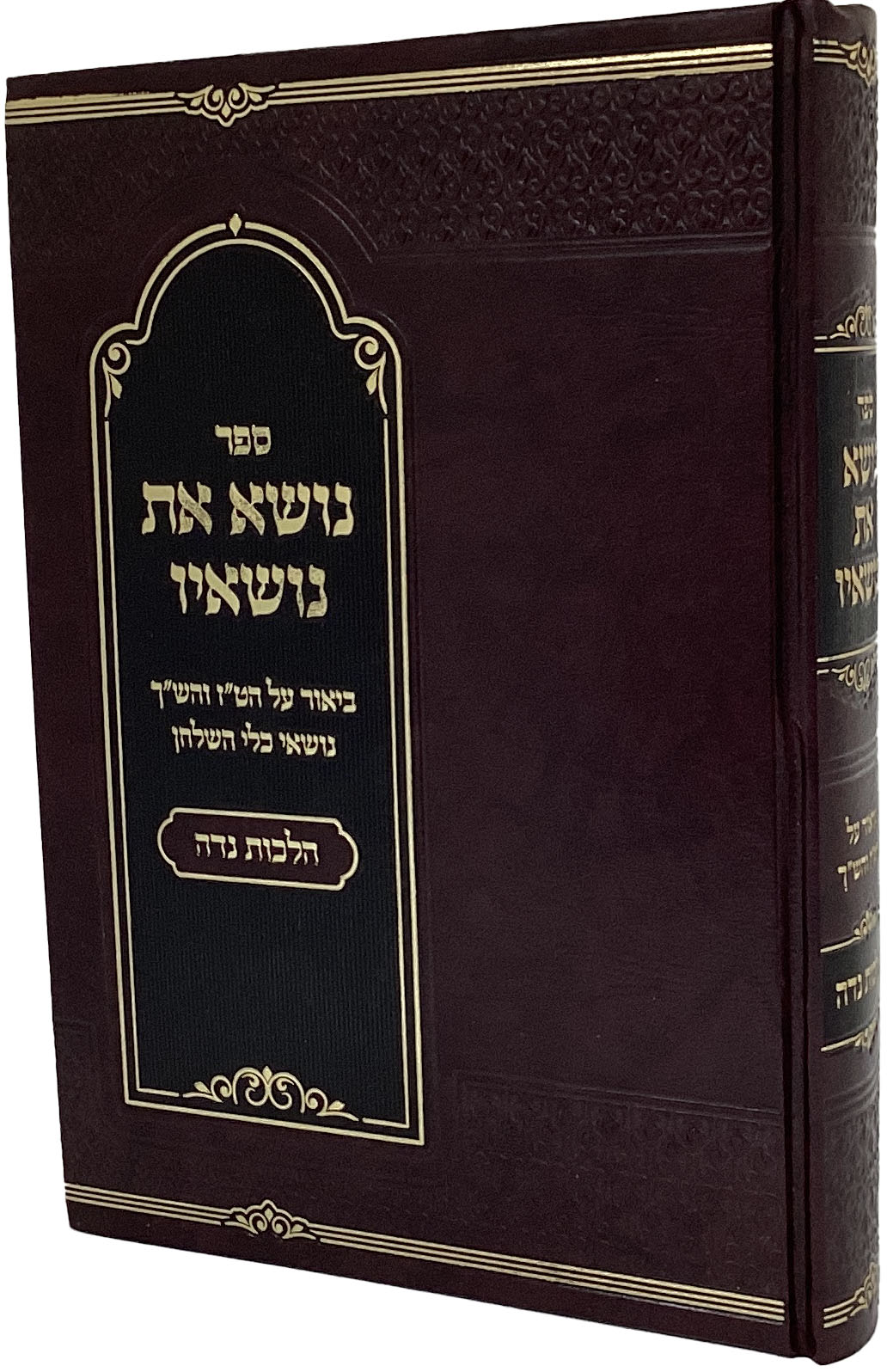 נושא את נושאיו - נדה