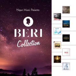 Beri Weber Collection USB