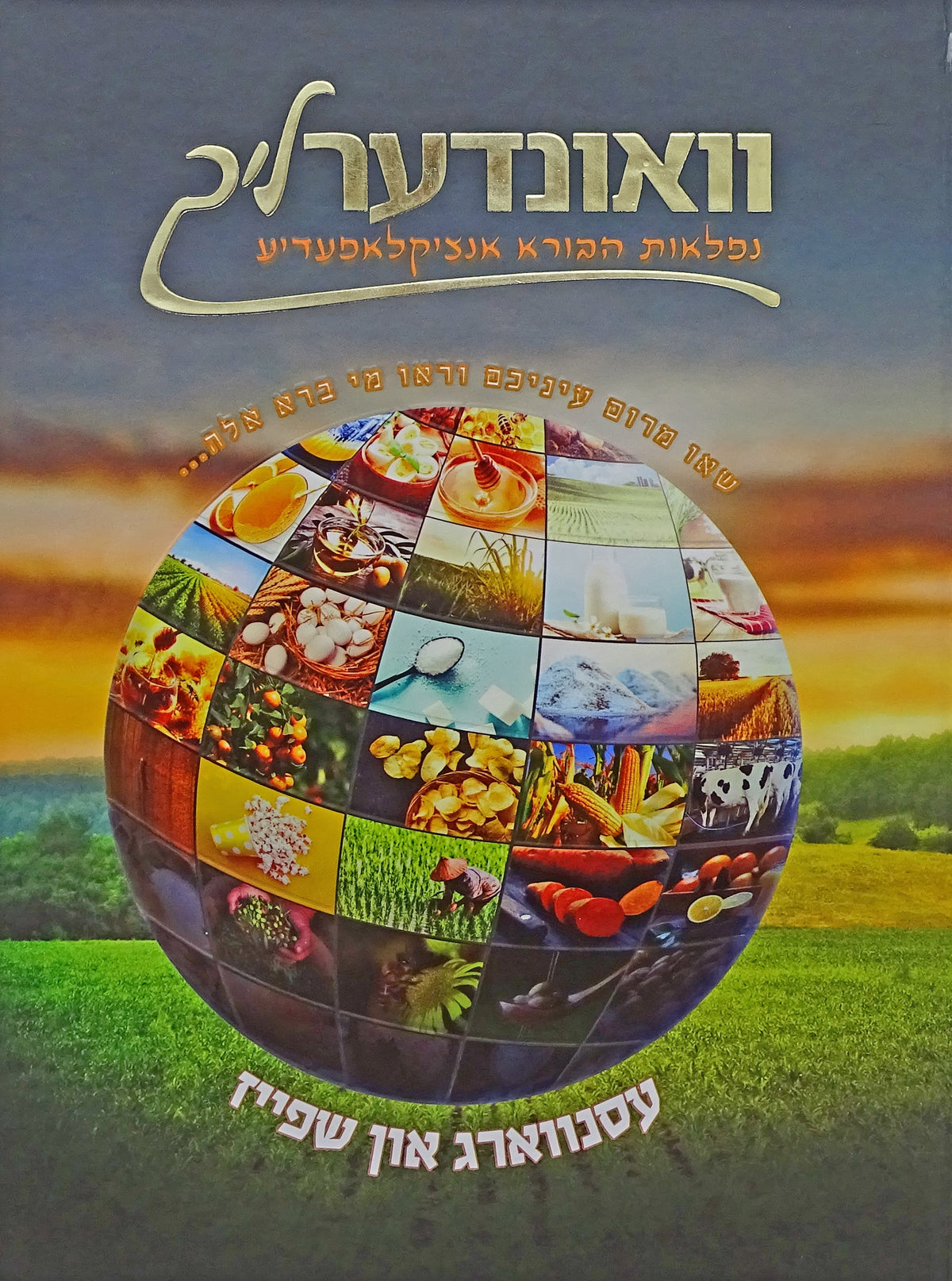 וואונדערליך #5 - עסנווארג און שפייז