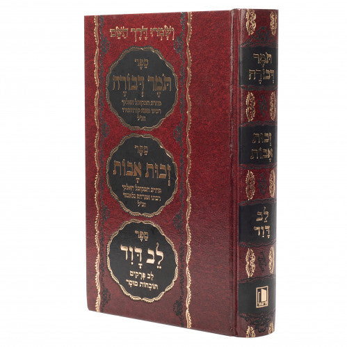 תומר דבורה -זכות אבות -לב דוד - מישור