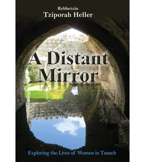 A Distant Mirror