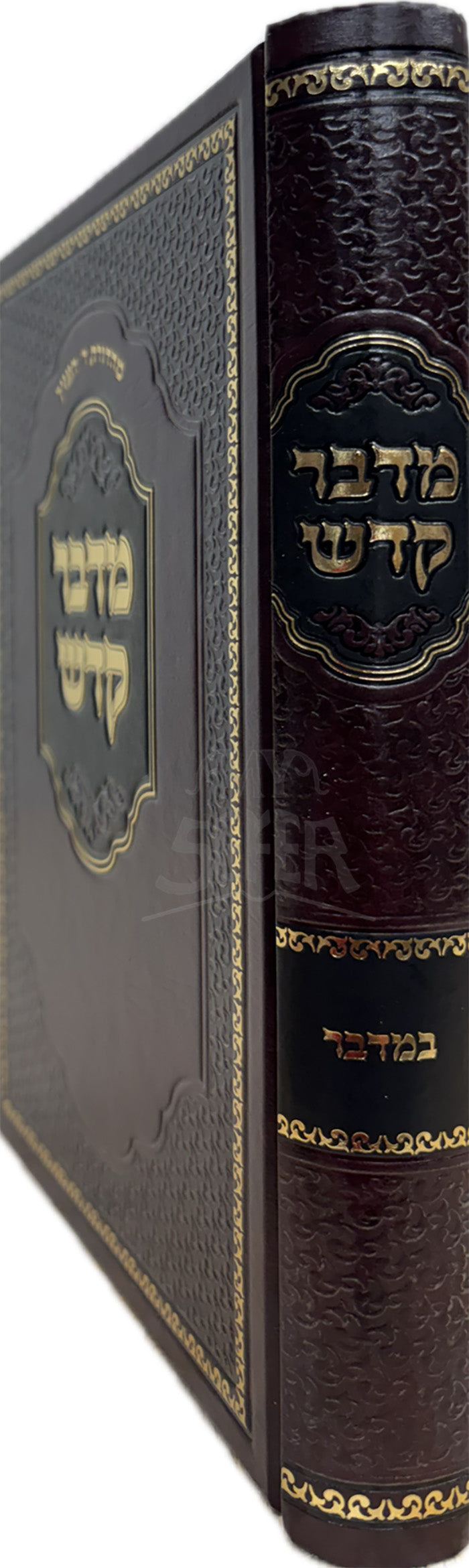 מדבר קדש - במדבר
