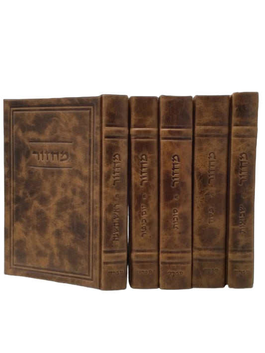מחזור עוז והדר Antique Light Brown [520]