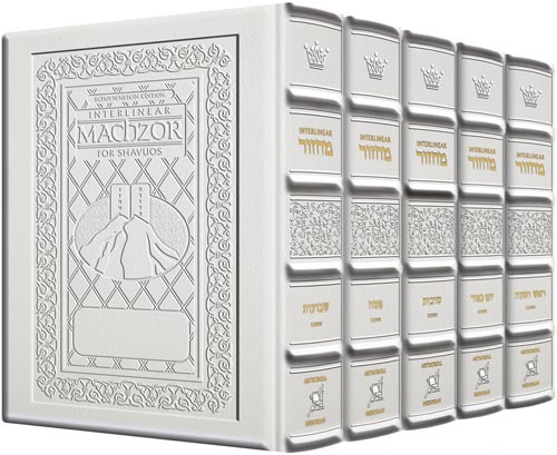Interlin. Machzor 5 Vol Antique White Set - Sefard
