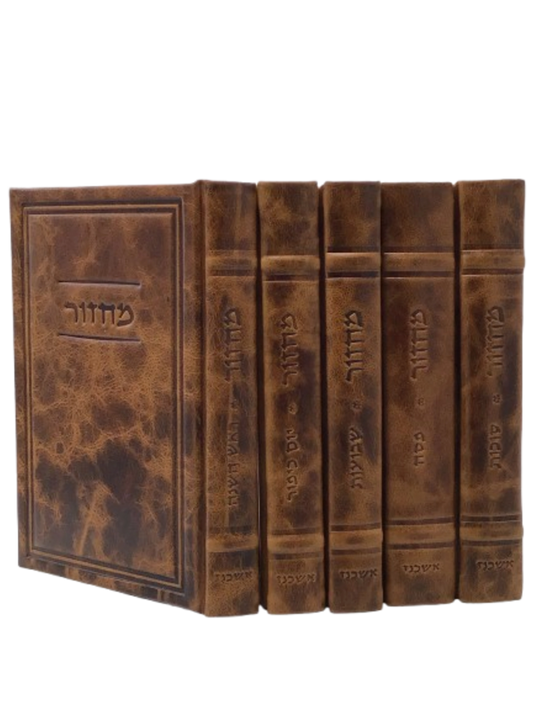 מחזור עוז והדר Antique Light Brown [520]