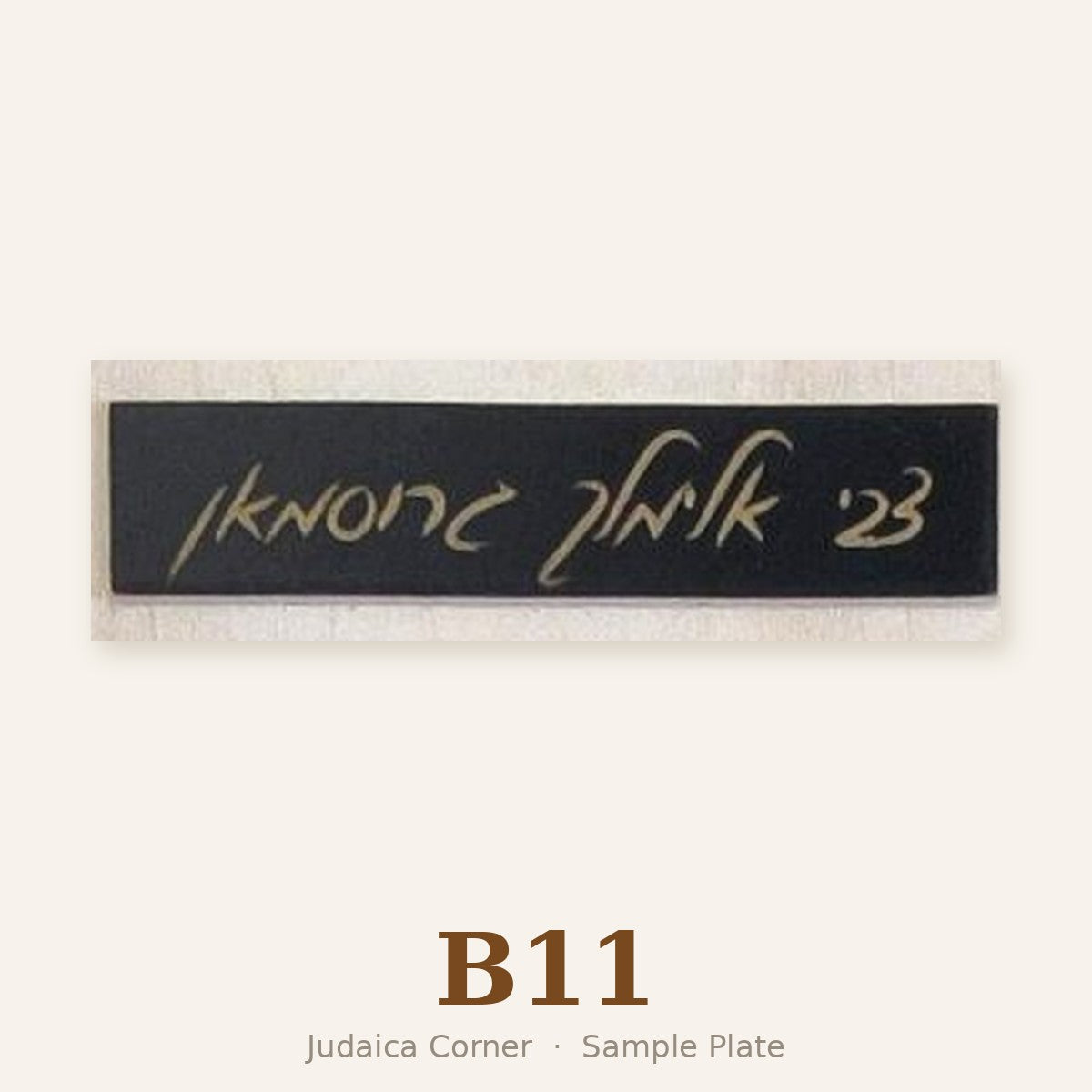 Sample plate B11