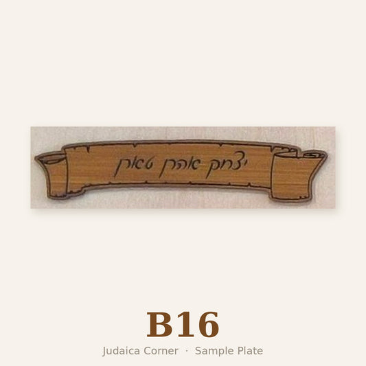 Sample plate B16