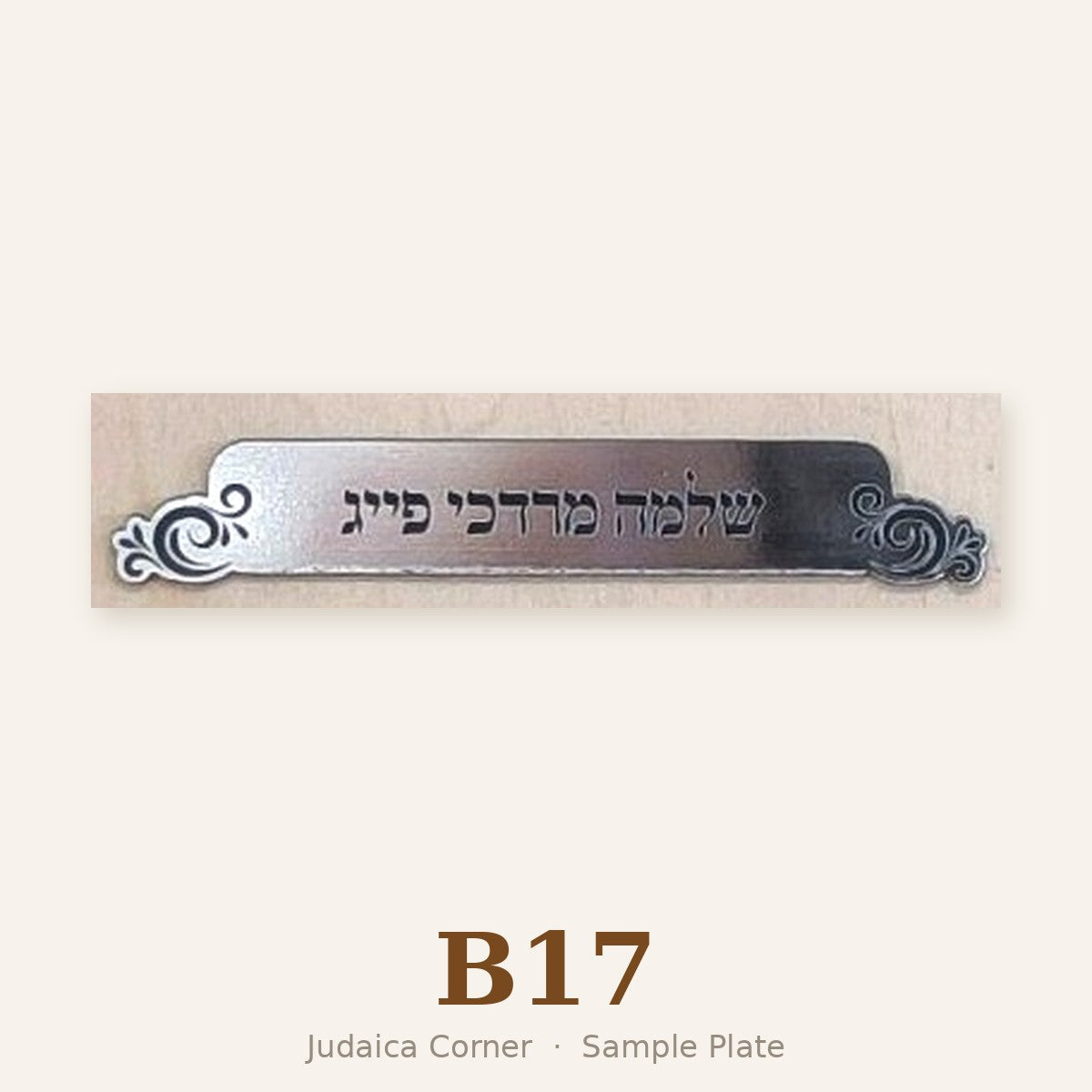 Sample plate B17