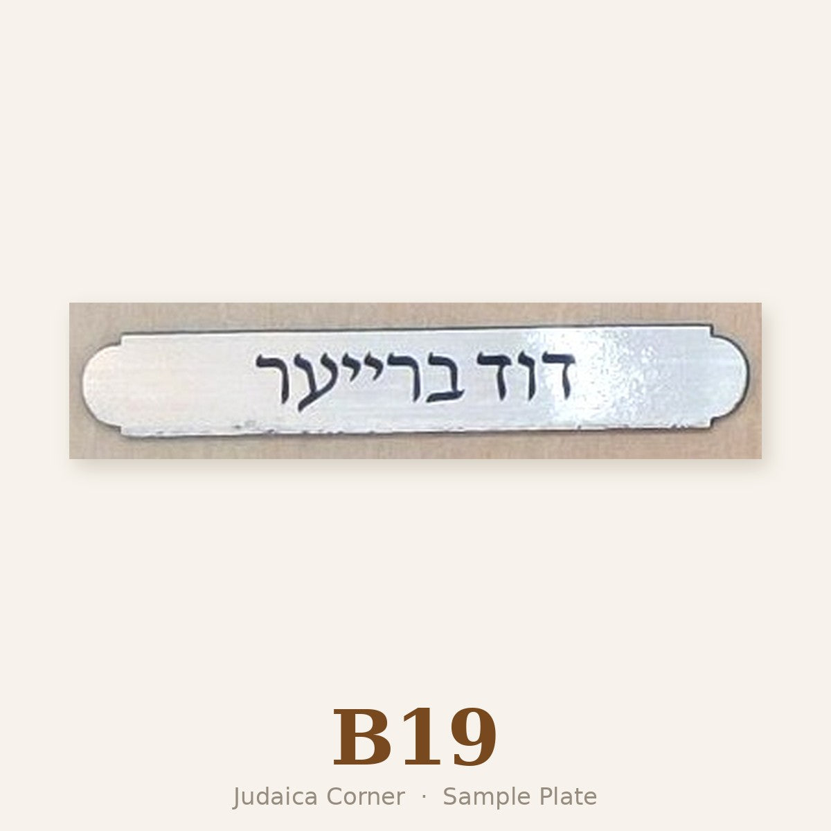 Sample plate B19
