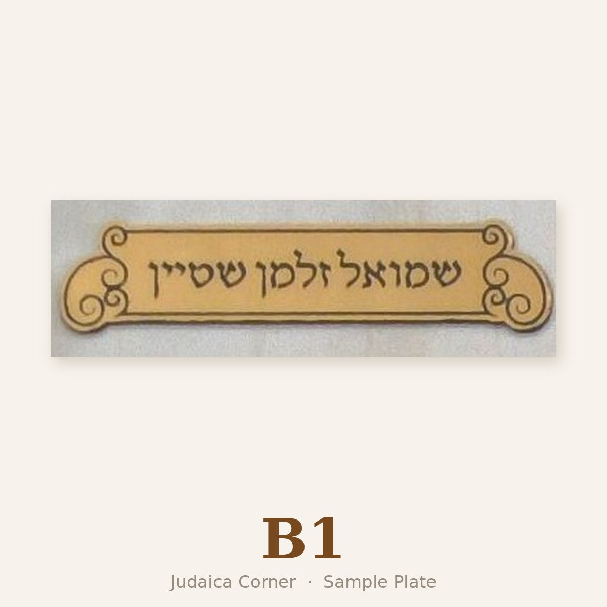 Sample plate B1