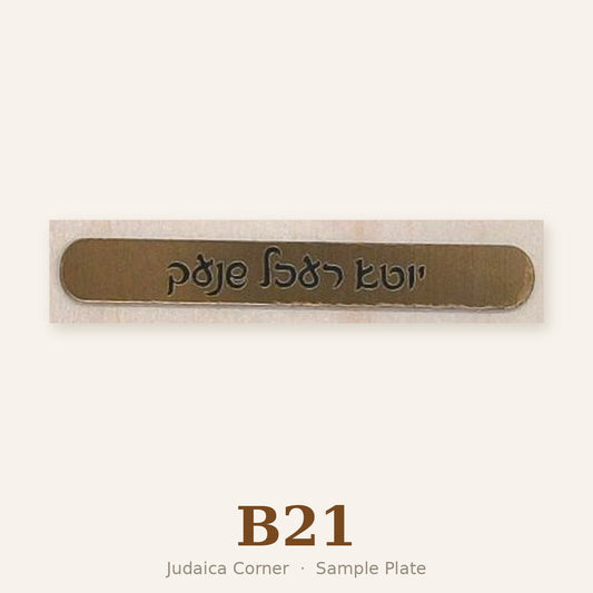 Sample plate B21