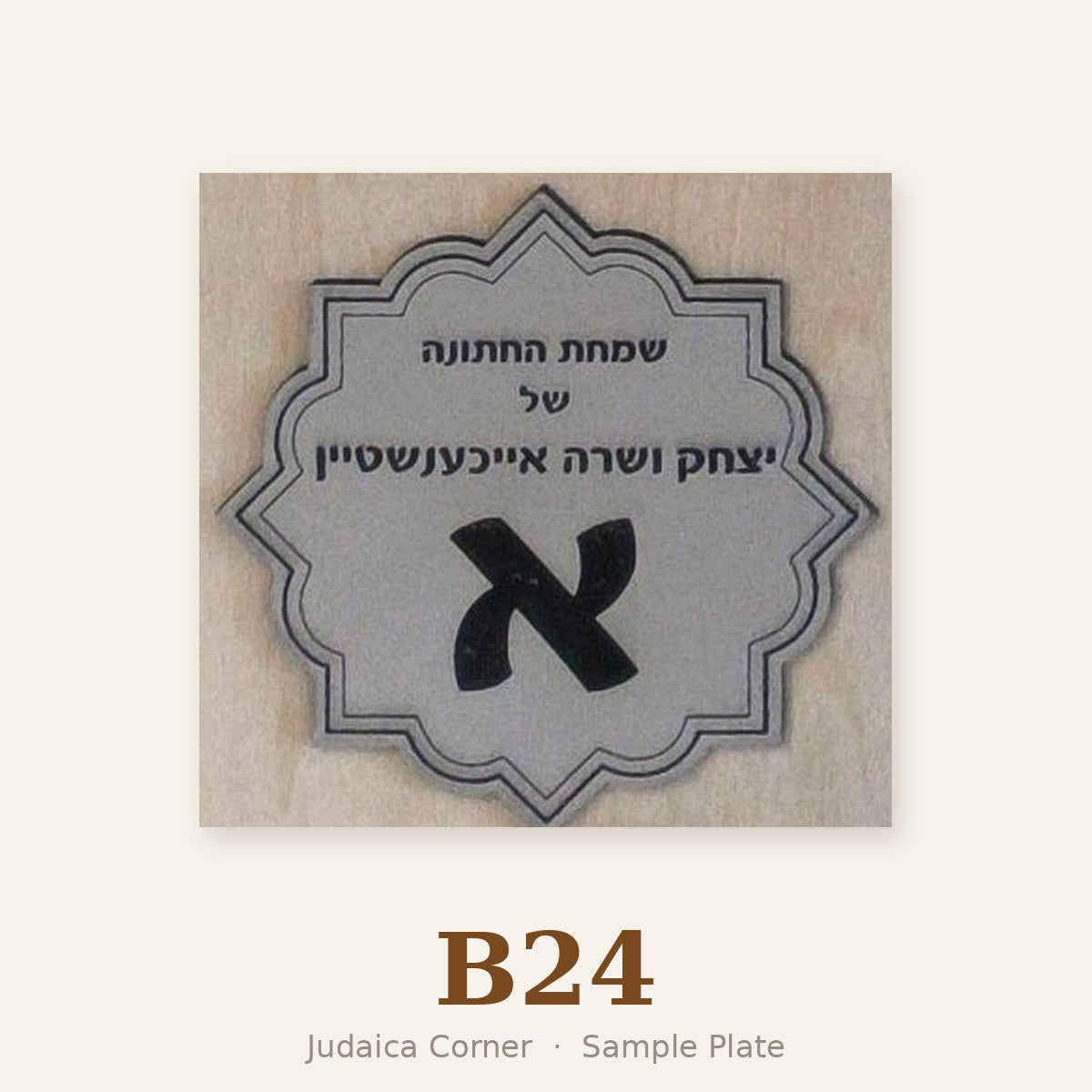Sample plate B24