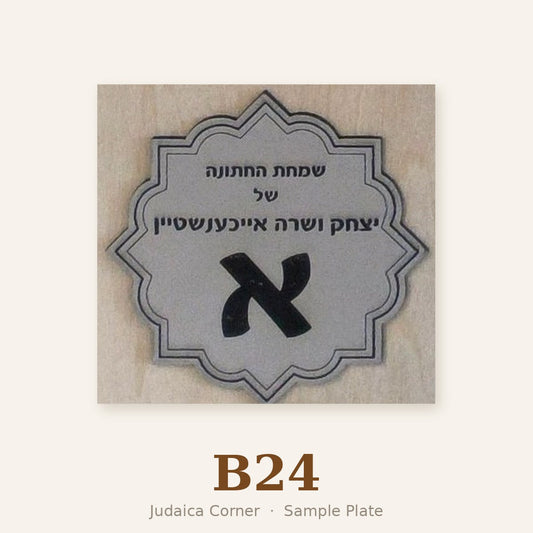 Sample plate B24