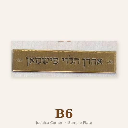 Sample plate B6