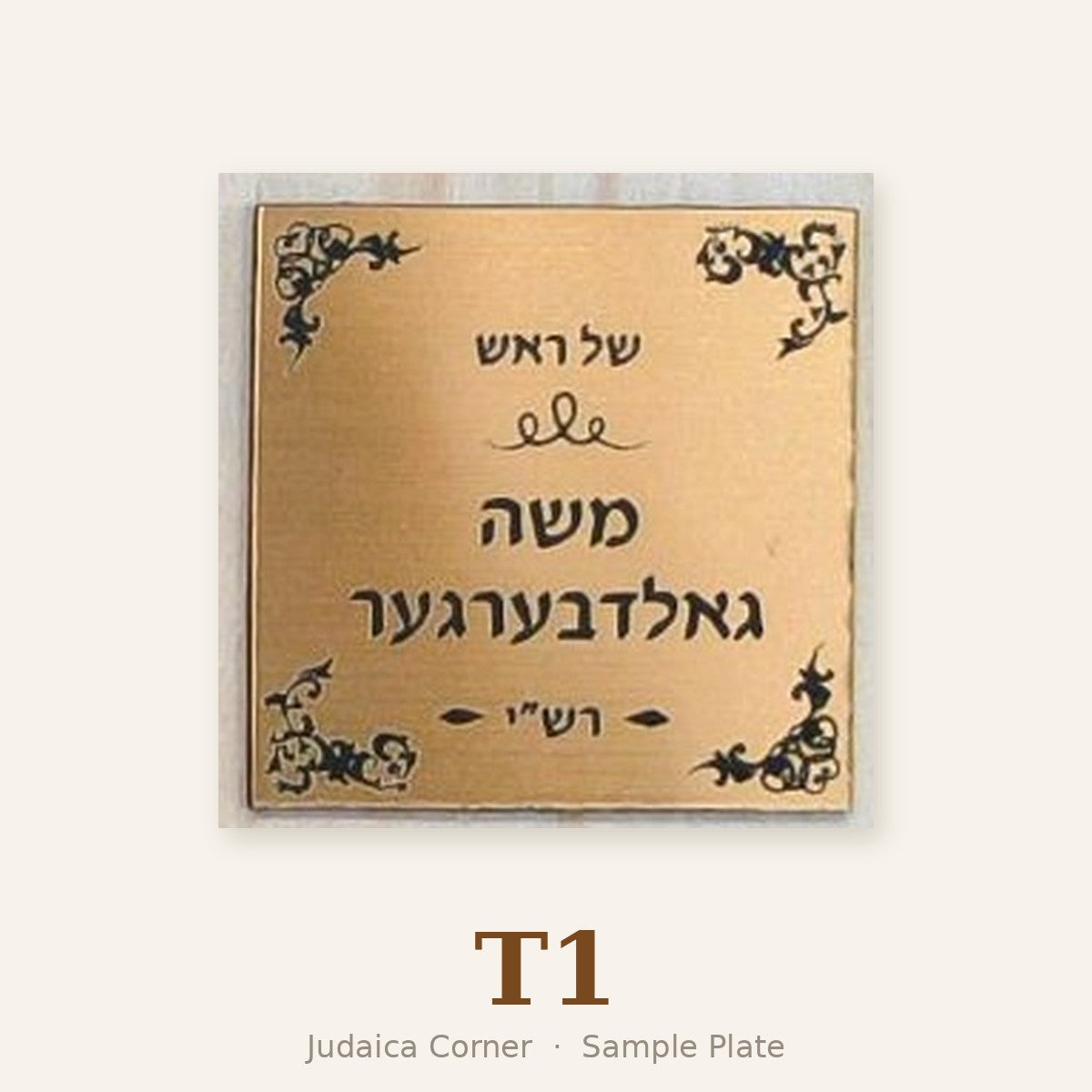 Sample plate T1