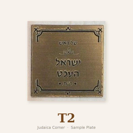Sample plate T2