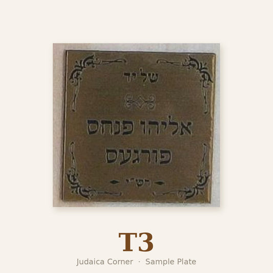 Sample plate T3