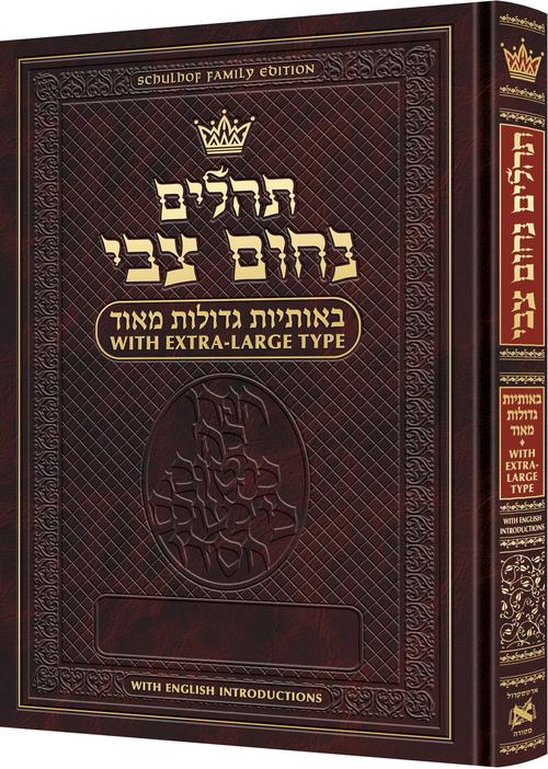 תהלים - באותיות גדולות מאוד With Extra-Large Type W/ English Introductions