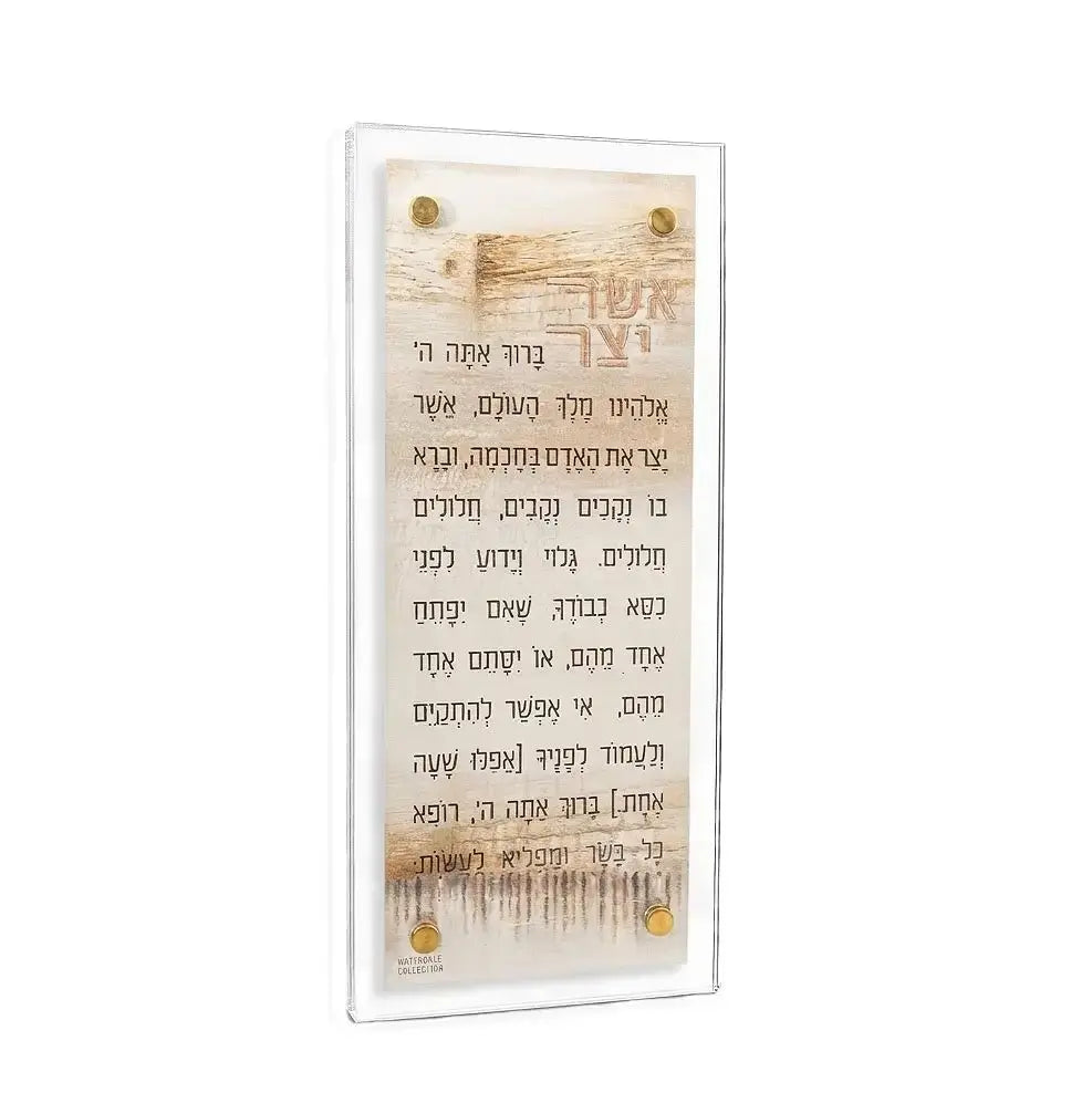 Lucite W/Leather Asher Yatzar - Kosel - Taupe [WL]