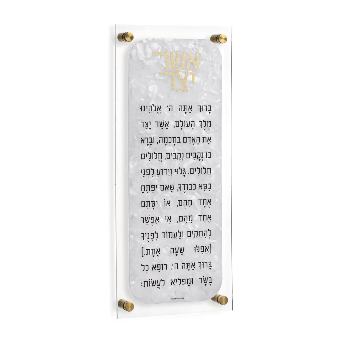 Lucite Asher Yatzar - Pearl Marble - Gold [WL]