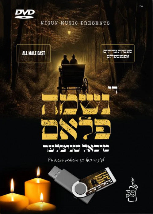 די נשמה פלאם - מיכאל שניצלער - DVD - USB